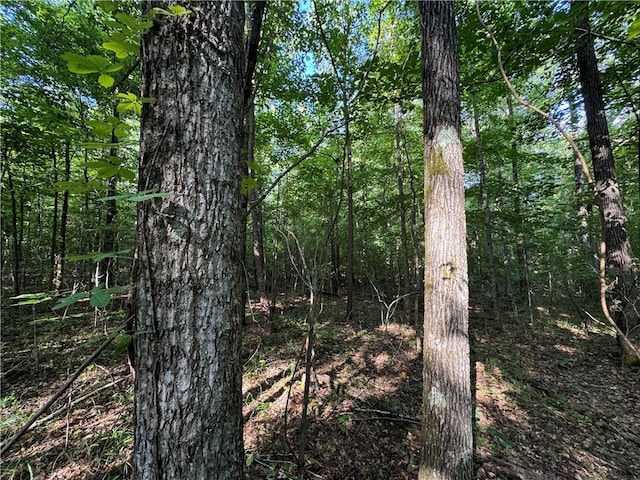 6200 Jackson, Waverly, AL 36879 - photo 8