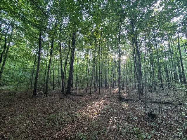 6200 Jackson, Waverly, AL 36879 - photo 24