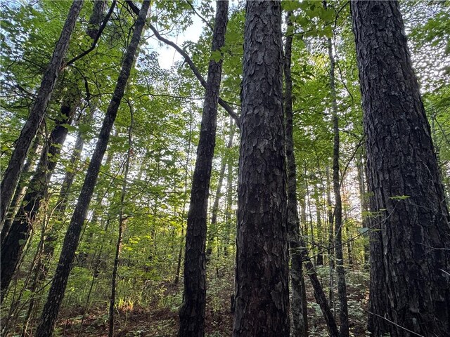 6200 Jackson, Waverly, AL 36879 - photo 3