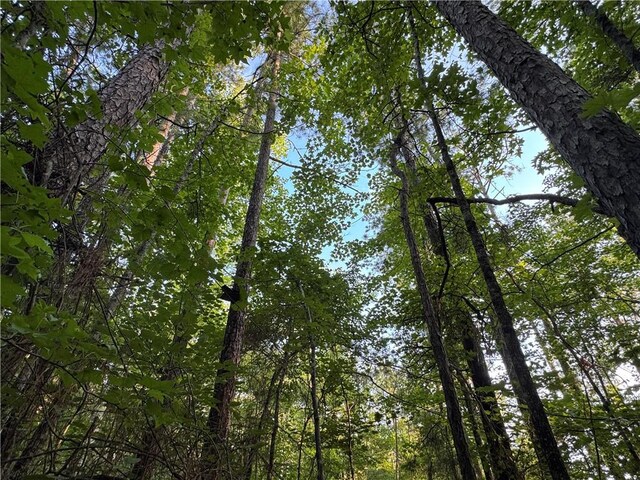 6200 Jackson, Waverly, AL 36879 - photo 22