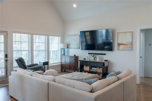 living room with hardwood / wood-style floors, high vaulted ceiling, and plenty of natural light