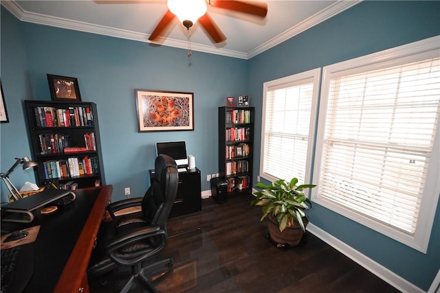 office featuring ceiling fan, dark wood-type flooring, and crown molding