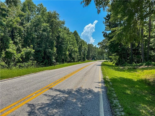 4384 Rock Springs Rd, Jacksons Gap, AL 36861 - photo 3