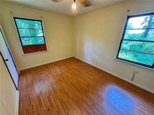 4384 Rock Springs Rd, Jacksons Gap, AL 36861 - photo 36