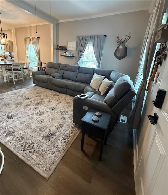 living room with dark wood-type flooring, plenty of natural light, visible vents, and ornamental molding