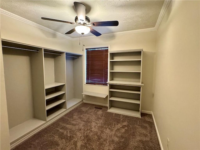 spacious closet with ceiling fan and carpet