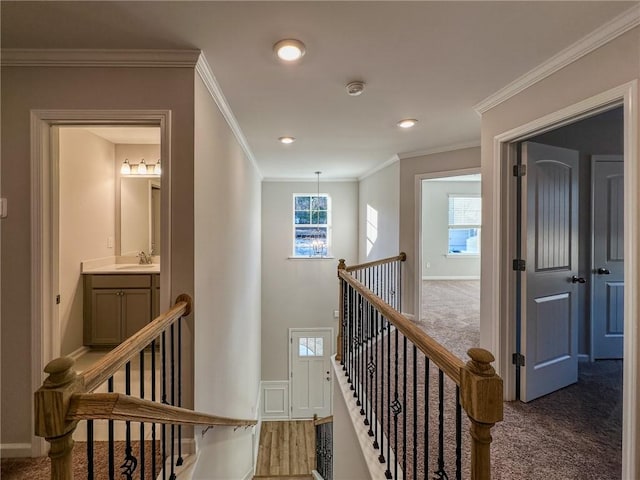 hallway featuring dark colored carpet, crown molding, and sink