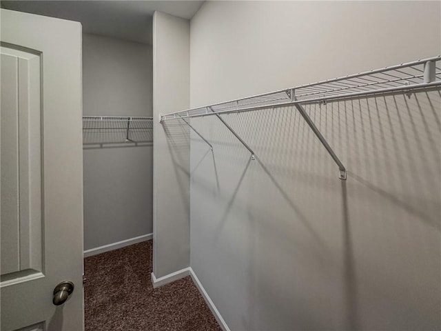 walk in closet with dark colored carpet