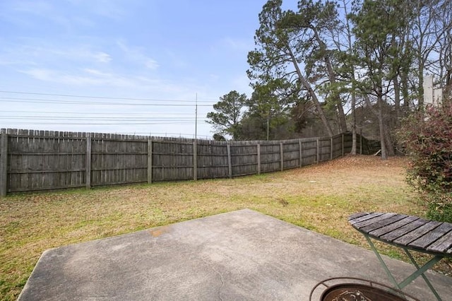 view of yard featuring a patio area