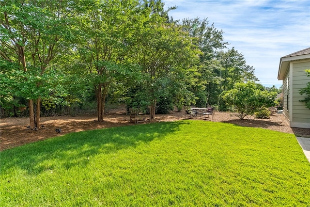 3515 Double Eagle Ln, Opelika, AL 36801 - view of green lawn