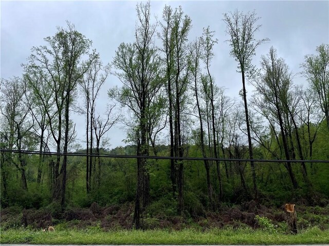 0 W Lafayette St, Dadeville, AL 36853 - photo 2