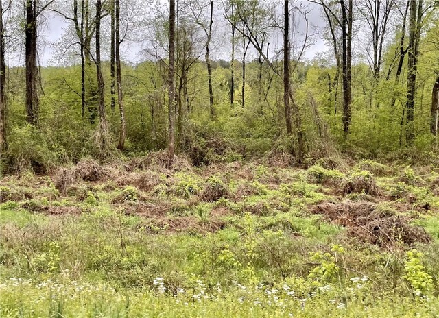 0 W Lafayette St, Dadeville, AL 36853 - photo 5