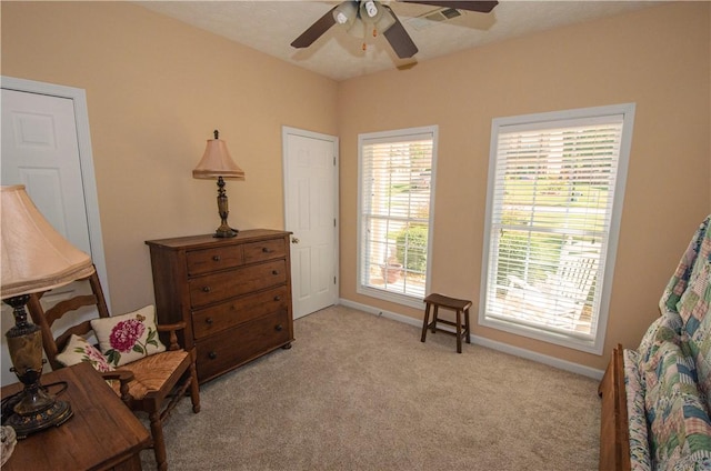 living area featuring light colored carpet