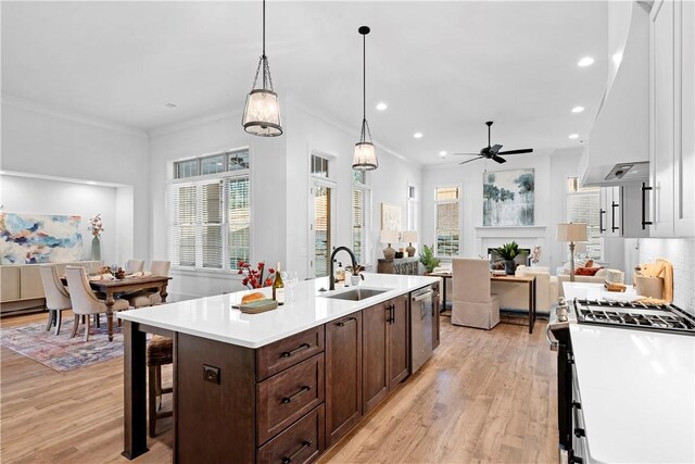 124 Merlin St, Opelika, AL 36801 - kitchen featuring appliances with stainless steel finishes, ceiling fan, dark brown cabinets, light wood-style flooring, and custom exhaust hood