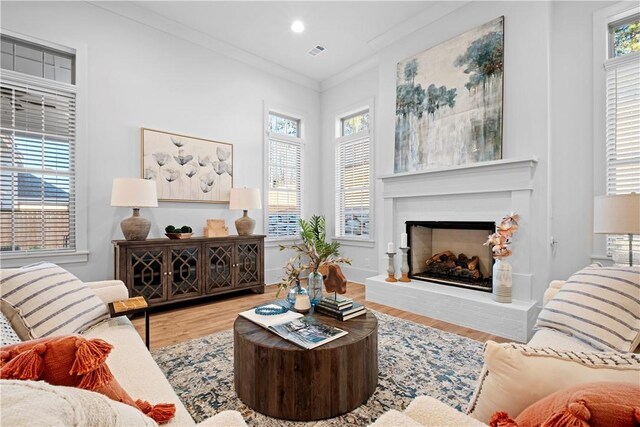 124 Merlin St, Opelika, AL 36801 - living room featuring wood finished floors, a fireplace with raised hearth, recessed lighting, and crown molding