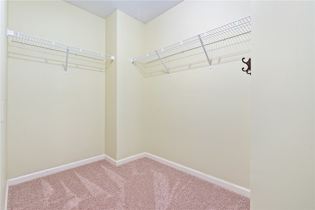 2027 Preserve Dr, Auburn, AL 36879 - photo 22