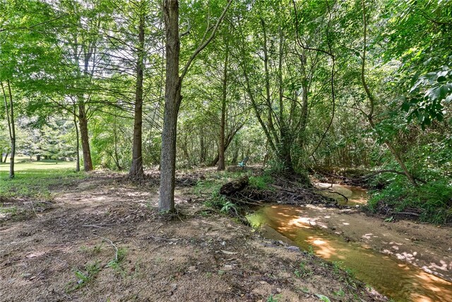 2027 Preserve Dr, Auburn, AL 36879 - photo 38