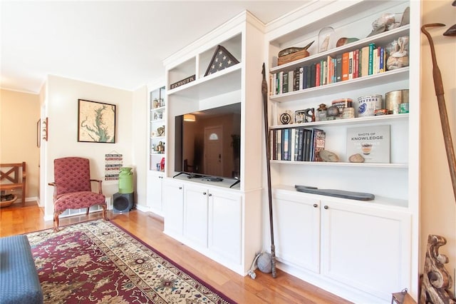 sitting room featuring light hardwood / wood-style flooring