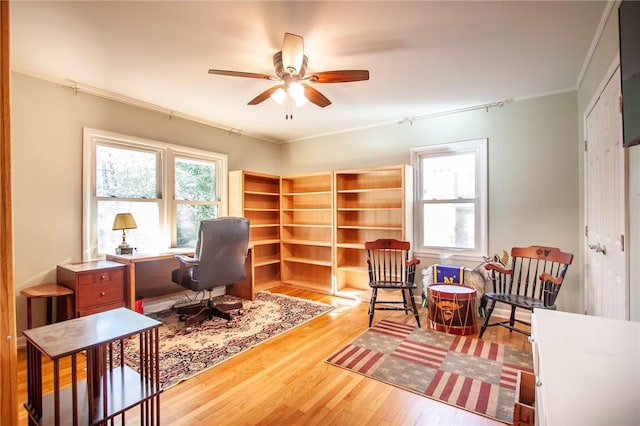 office featuring wood-type flooring, ceiling fan, and crown molding