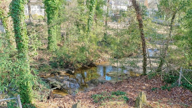 view of landscape featuring a water view