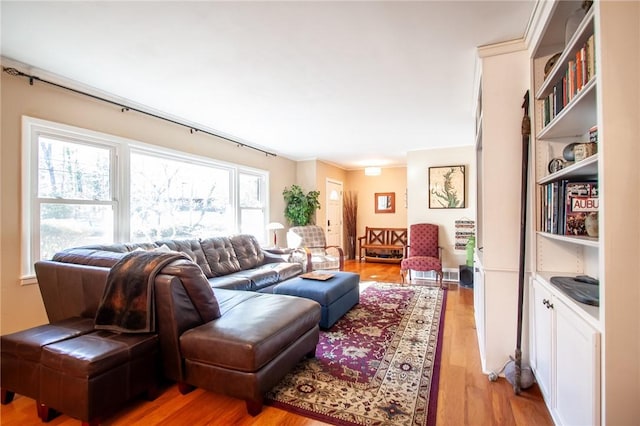 living room featuring light hardwood / wood-style flooring and a healthy amount of sunlight