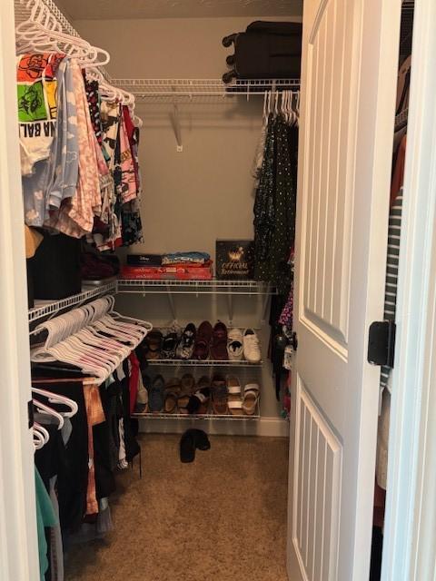 1201 Live Oak Cir, Opelika, AL 36801 - walk in closet featuring carpet flooring