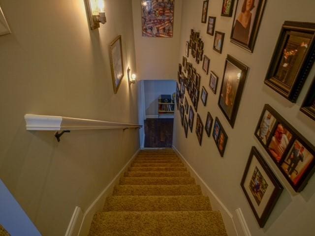 1201 Live Oak Cir, Opelika, AL 36801 - stairway with carpet flooring and baseboards
