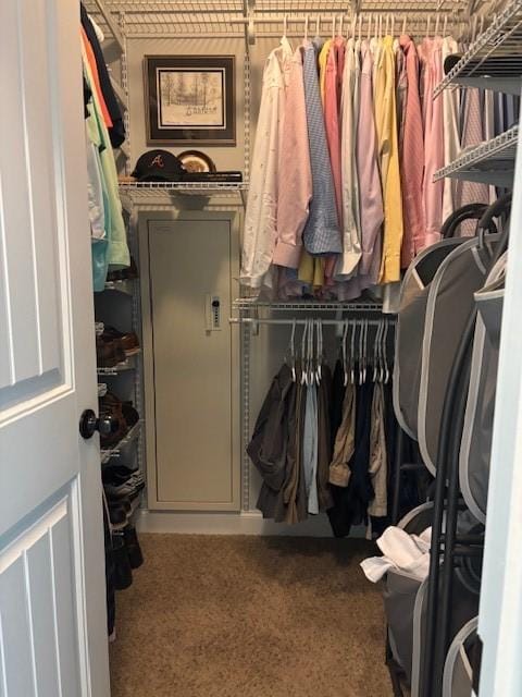 1201 Live Oak Cir, Opelika, AL 36801 - walk in closet with carpet flooring