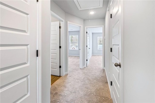 corridor with light carpet
