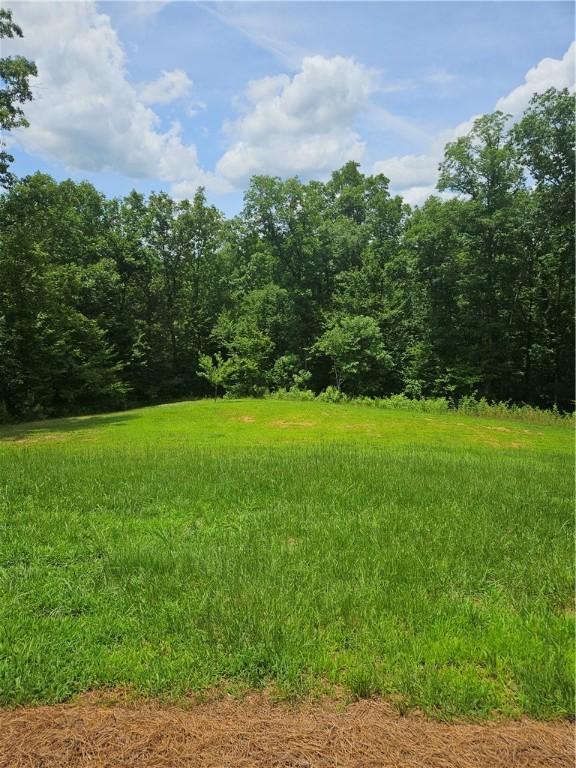 1109 Lee Road 260, Opelika, AL 36804 - photo 6