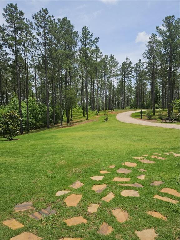1109 Lee Road 260, Opelika, AL 36804 - photo 3
