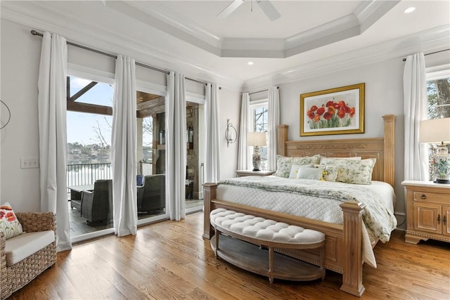 bedroom featuring a tray ceiling, access to exterior, and multiple windows