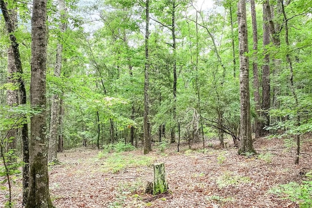 4474-L Sandhill Rd, Auburn, AL 36830 - photo 4