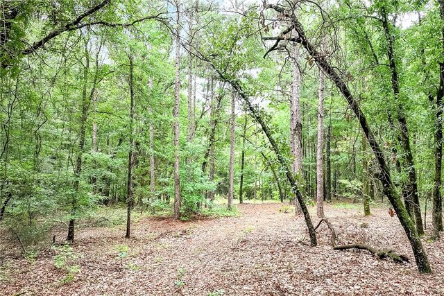 4474-L Sandhill Rd, Auburn, AL 36830 - photo 3