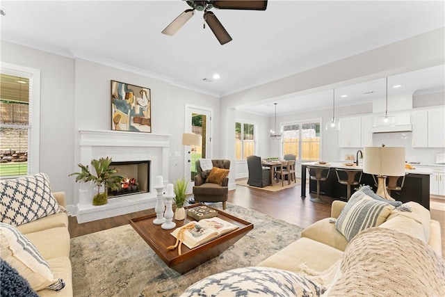 living room featuring wood finished floors, a ceiling fan, crown molding, a lit fireplace, and recessed lighting