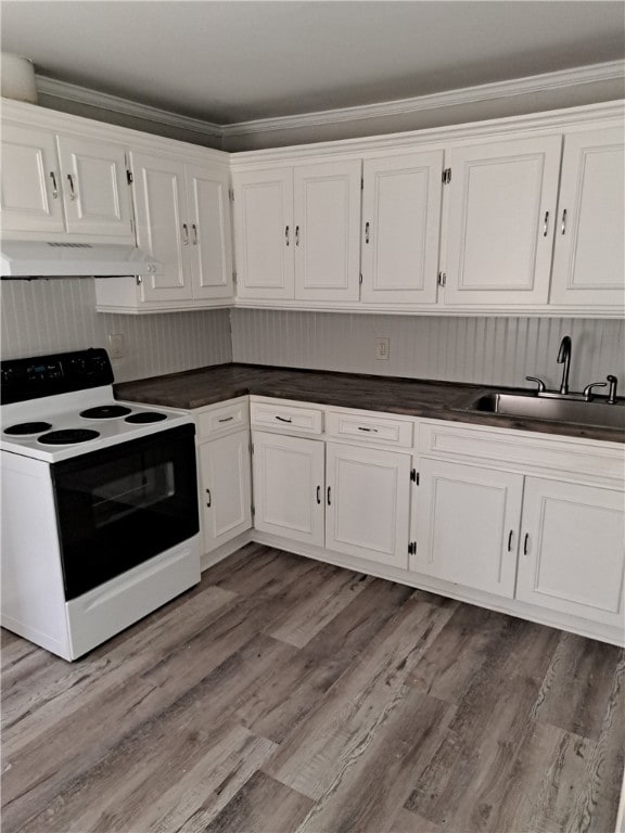 kitchen featuring range with electric stovetop, white cabinetry, a sink, wood finished floors, and under cabinet range hood