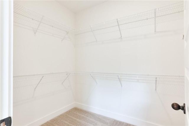 107 Hunters Way, Opelika, AL 36801 - walk in closet featuring light carpet