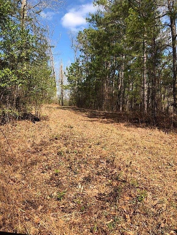 0 Beehive Rd, Auburn, AL 36832