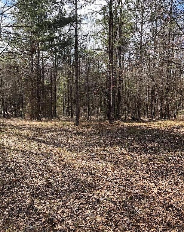 0 Beehive Rd, Auburn, AL 36832