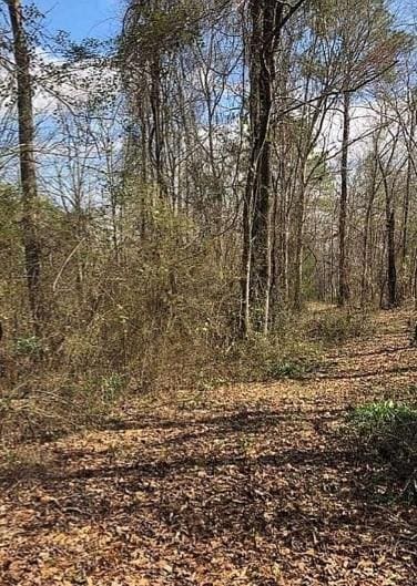 0 Beehive Rd, Auburn, AL 36832