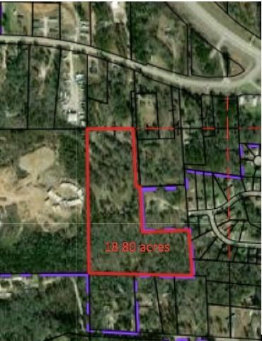 0 Beehive Rd, Auburn, AL 36832