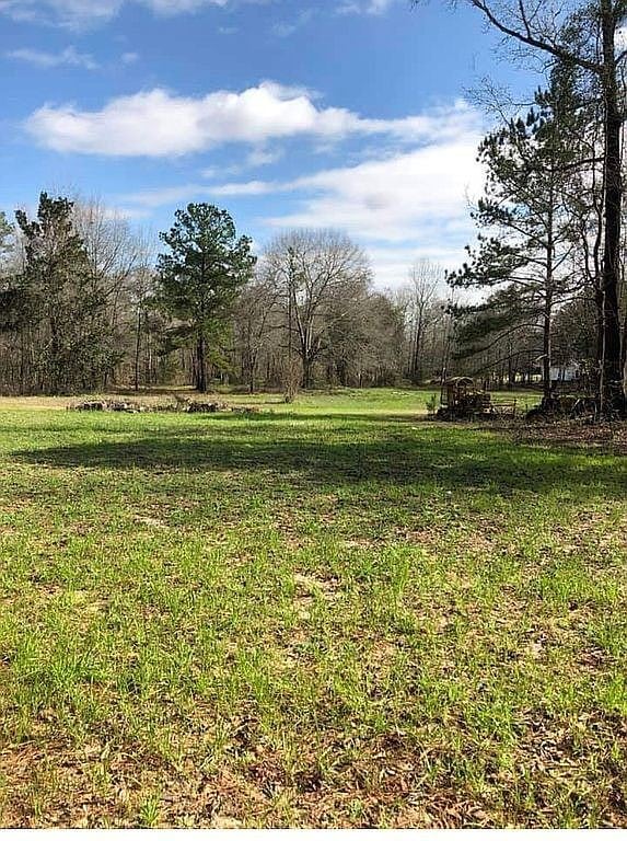 0 Beehive Rd, Auburn, AL 36832