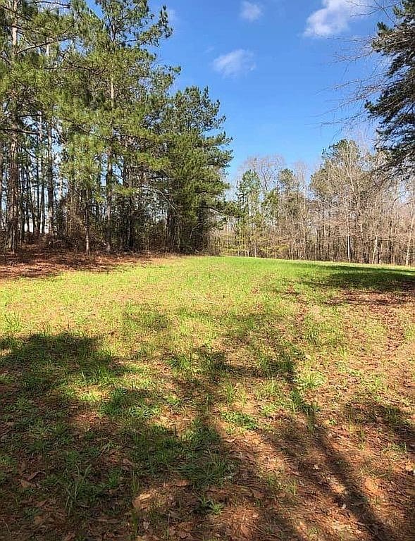 0 Beehive Rd, Auburn, AL 36832