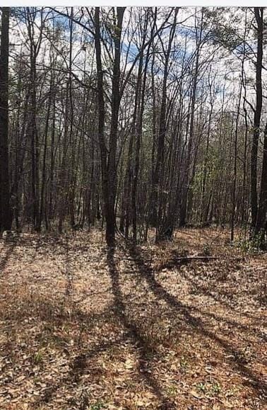 0 Beehive Rd, Auburn, AL 36832