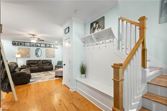 mudroom featuring crown molding, a ceiling fan, and wood finished floors