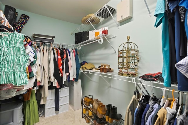 view of walk in closet