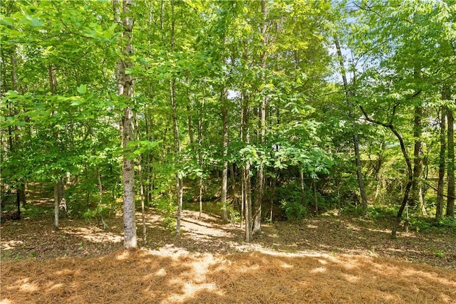 view of local wilderness with a forest view