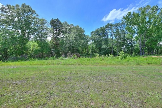 86 Lee Road 2229, Opelika, AL 36804 - view of local wilderness