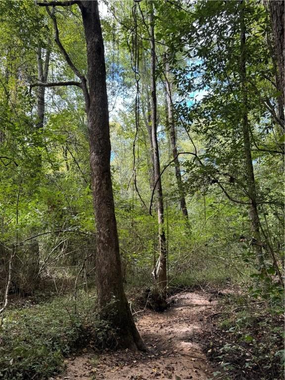 view of local wilderness