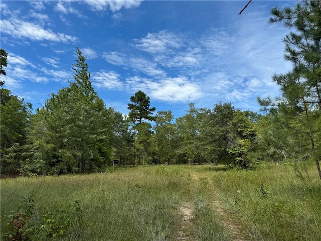 view of local wilderness